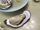 乳山牡蛎 鲜活乳山生蚝5XL 净重5斤 9-10只 生鲜海鲜 年货送礼 源头直发 实拍图