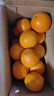 京喜加【25年鲜橙】云南冰糖橙新鲜采摘秋橙当季新鲜水果 净重4.5斤65mm 实拍图