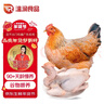 温润食品黄羽三黄鸡2斤 慢养90天以上农家生态散养鸡肉生鲜笨鸡走地鸡 实拍图