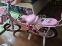 紫榕 儿童自行车女孩单车3-8岁公主款脚踏车男女宝宝小孩童车 公主粉【京仓直发】闪轮护具套装 14寸 适合90-110cm 实拍图