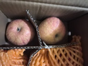 京鲜生 陕西洛川红富士苹果 净重5斤75-80mm单果170g+新鲜水果源头直发  实拍图