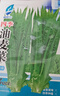 【京东物流】蔬菜种子四季播盆栽阳台庭院香菜生菜菠菜简单秋易种 油麦菜种子1包约1000粒 实拍图