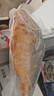 三都港 洄游季带籽黄花鱼1.1kg/条 大黄鱼 海鲜 深海鱼 生鲜 鱼类 年货 实拍图