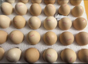 京鲜生【每日鲜蛋】无抗谷物鸡蛋30枚 3.18斤 当日产蛋 当日发货 实拍图