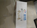 伊利全脂纯牛奶 250ml*18盒 每100ml含3.3g蛋白质 年货礼盒装 实拍图