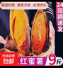 广东新鲜现挖西瓜红蜜薯沙地红心番薯山芋生鲜超市蔬菜京东包邮 优质西瓜红 9斤 带箱 中小果（单果50g-150g） 实拍图