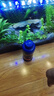 坤宁王 亚甲基蓝鱼药鱼缸杀菌消毒溶液烂身烂尾白点净水霉病水族鱼专用 实拍图