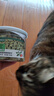 网易严选猫用薄荷饼干宠物幼猫成猫猫咪零食饼干薄荷味 95克 实拍图