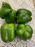 新鲜绿菜椒现摘山东圆椒青椒太空甜椒蔬菜灯笼椒生吃蔬菜沙拉 新鲜圆椒1斤 实拍图