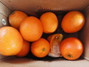 江西赣南早脐橙整箱当季新鲜早橙子榨汁水果礼盒皮薄多汁节日团购 【划算】净重4.5斤单个120g+ 实拍图