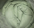 京东京造抗菌云感棉花床垫 新疆棉床褥加厚可折叠软垫 1.8x2m 豆绿色 实拍图