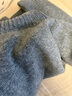 ELLE【100%绵羊毛】无缝一体高领毛衣女2025秋装新款软糯毛针织衫 浅灰（升级款） L 实拍图