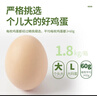 温氏供港L级大码富硒鲜鸡蛋30枚/3.6斤 谷物喂养 无抗生素 生鲜食材 实拍图