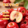 京鲜生 甜红子红山楂 新鲜山楂2斤装 生鲜水果 实拍图