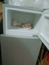 新飞（Frestec）小冰箱 冰箱小型双开门 迷你双门家用宿舍租房冷藏冷冻电冰箱节能省电 42L银【店铺爆款+节能省电】升级款 实拍图