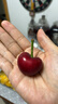 京地达大连美早樱桃国产车厘子5J级水果年货礼1.8斤新鲜送礼源头直发 实拍图
