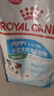 皇家狗粮 幼犬狗粮 小型犬 MIJ31 全价犬粮 2-10月 2KG【定期购】 实拍图