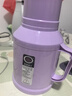 新款马卡龙热水瓶车载暖壶小型保温瓶客厅家用宿舍带盖暖水瓶茶瓶 紫色 1L 实拍图