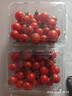 圣女果小番茄现摘现发新鲜直达 千禧圣女果带箱2斤装 实拍图