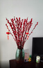 【红色招财银柳】干花真花鲜枝耐寒年宵花水培花卉室内摆放装饰花 60厘米【30支】送灯笼 实拍图