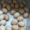 德青源A级鲜鸡蛋32枚2.74斤起无抗生素 谷物喂养  营养早餐家庭礼盒 实拍图