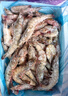 GUO LIAN国联盐冻大虾净重3斤75-90只 50/60 南美白对虾生鲜海鲜年货送礼 实拍图