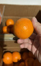 京鲜生 广西茂谷柑 净重4.5斤装 单果130g+ 新鲜水果源头直发包邮 实拍图