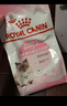 皇家幼猫猫粮 幼猫奶糕 K36 通用粮 4-12月 10KG 实拍图