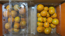 京鲜生 广西第三代脆蜜金柑 2斤礼盒（每斤20-27粒）源头直发包邮 实拍图