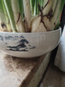 九千谷水仙花盆大号 陶瓷无孔圆形水培容器铜钱草碗莲山水款约19cm5846 实拍图