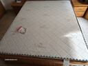 慕胜乳胶椰棕独立弹簧席梦思20cm厚床垫子欧盟认证1.5x1.9米适中偏硬 实拍图