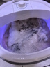 VCJ洗衣机半全自动迷你洗衣机小型洗脱一体小型家用母婴内衣裤洗袜子神器儿童单身人宿舍出租房 第10代升级【深层精洗*定时快洗】 珍珠白 实拍图