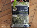 京鲜生 浦之灵农家青雪菜500g/袋 雪里蕻 无亚硝酸盐 冷冻蔬菜年货节 实拍图