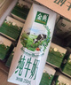 伊利【新鲜日期】金典纯牛奶整箱 250ml*16盒 3.6g乳蛋白 年货礼盒装 实拍图
