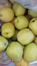 京鲜生 新疆库尔勒香梨 净重10斤 一级 单果100-120g 生鲜水果 实拍图