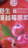 养益君野生蔓越莓原浆100%纯蔓越莓汁果汁原液花青素300ml（30ml*10袋） 实拍图