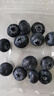京鲜生 美益粒POP蓝莓14mm+中果 6盒装 净重125g/盒 源头直发 包邮 实拍图