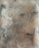冻品先生 安井 免浆黑鱼片（袋装） 250g*5袋 冷冻鱼片 免切免洗 方便菜 实拍图