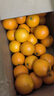 果果牛湖南麻阳冰糖橙 应当季新鲜水果手剥甜橙子高山夏脐血多汁 可选 净重9斤(单果60mm以下)实惠 实拍图