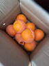 京觅秭归脐橙纽荷尔橙子净重7斤霸王橙单果300g+新鲜水果源头直发包邮 实拍图