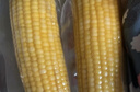 东北农嫂糯玉米段多色可选软糯香吉林原产粘玉米真空低脂饱腹粗粮代餐 【爆款推荐】黄糯玉米穗1.25kg 约6根 实拍图