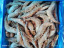 MEMBER'S MARK 生冷冻南美白对虾 2kg 2kg(净重) 实拍图