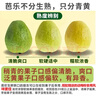 京觅福建奶油芭乐 番石榴 单果150g起 净重4.5斤装 源头直发包邮 实拍图