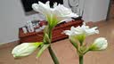 怡辉（YIHUI）空气波压力治疗仪腿部按摩器防血栓全自动揉捏大小腿按摩仪YKB05 实拍图