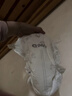 奇莫Q-MO皇家至柔纸尿裤L66片(9-14kg)尿不湿大号超薄透气超能吸 实拍图