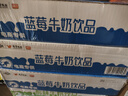 风行牛奶 蓝莓风味牛奶饮品 200ml*12盒 牛奶礼盒装 送礼佳品 实拍图