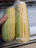 黄粒甜玉米约800g 实拍图