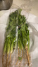 带根香菜100g 实拍图