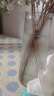 特大号玻璃花瓶桌面插花水养鲜花富贵竹高花瓶ins风客厅装饰摆件 【21高组合】锥桶水波+竖条 实拍图