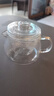 诗米乐 耐热玻璃茶杯加厚玻璃茶壶带嘴泡茶杯茶水分离杯喝茶杯过滤杯子 共茗杯 480ml 实拍图